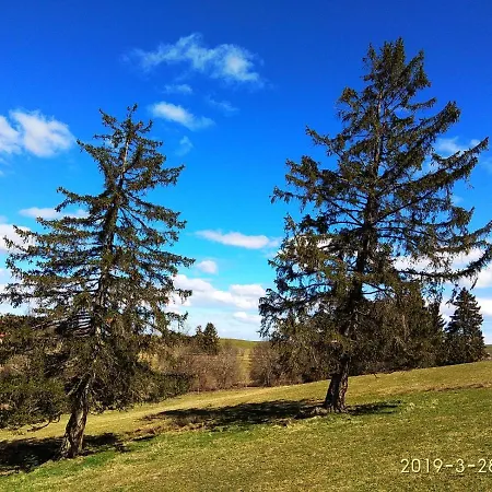 Schwarzwaldblick *