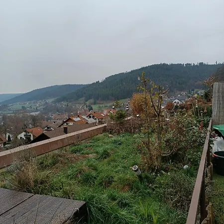 Schwarzwaldblick *