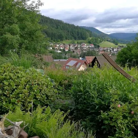 Schwarzwaldblick